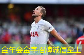 手工体育器材篮球架幼儿园