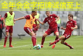 乒乓球台亮了