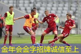 器材篮球筐子