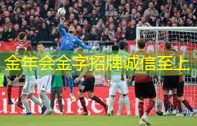 什么木质的乒乓球台好