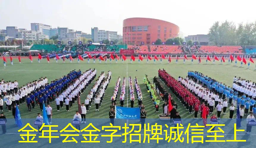 成人篮球障碍物训练器材
