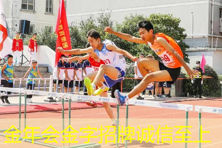 触手可及的快乐！儿童球木头滑梯让孩子享受自由伸展的畅快感！