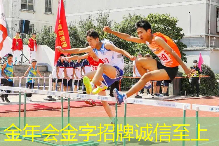 万行乒乓球台怎么样