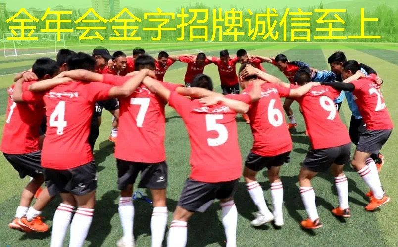 家用专业乒乓球台怎么选