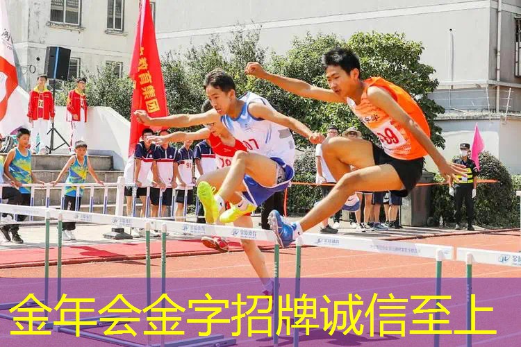 网球拍原胚是什么意思