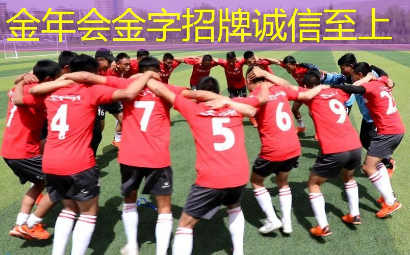 百保利网球拍怎么选择型号