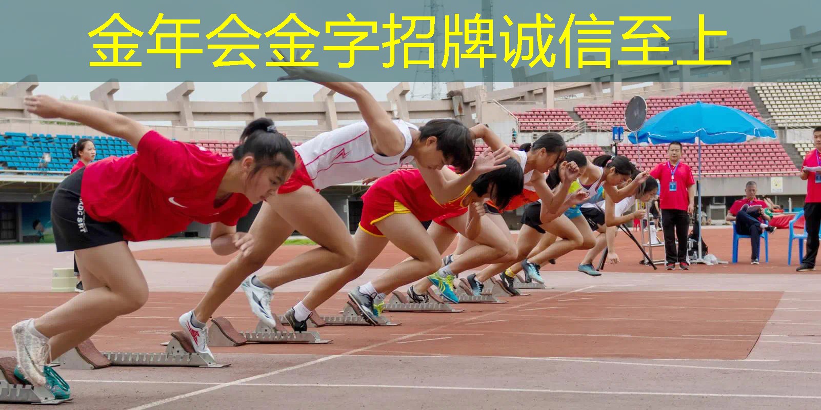 百宝力高端网球拍