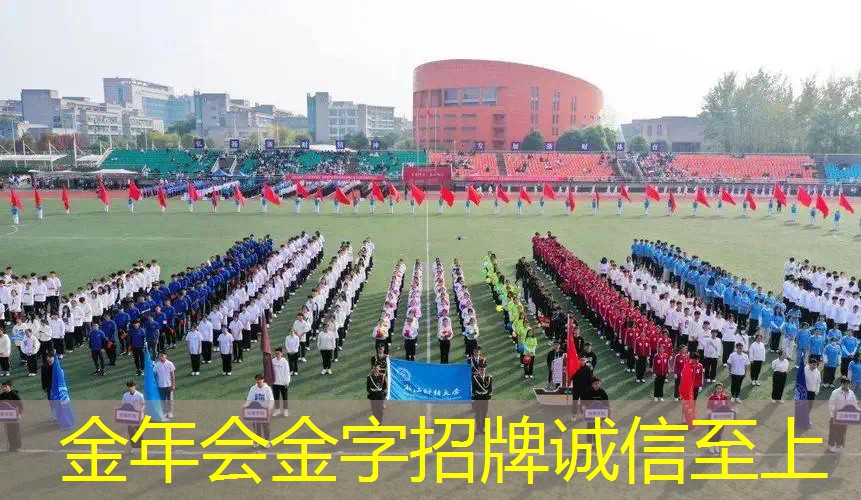 迪卡侬网球拍包双肩背包