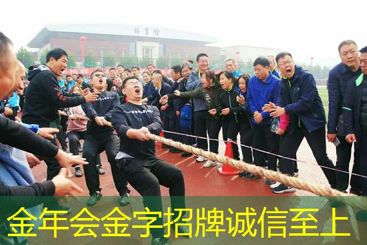 网球拍今日报价最新