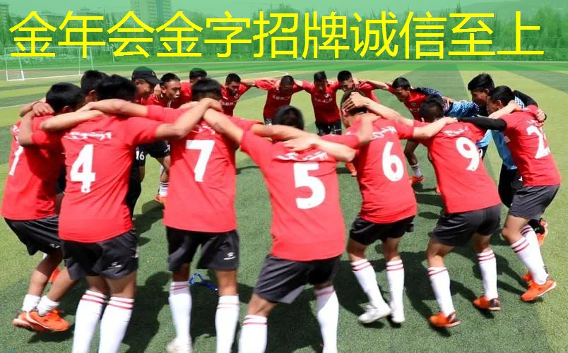 网球拍单人训练器在家