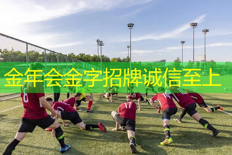顶级入门网球拍价格表