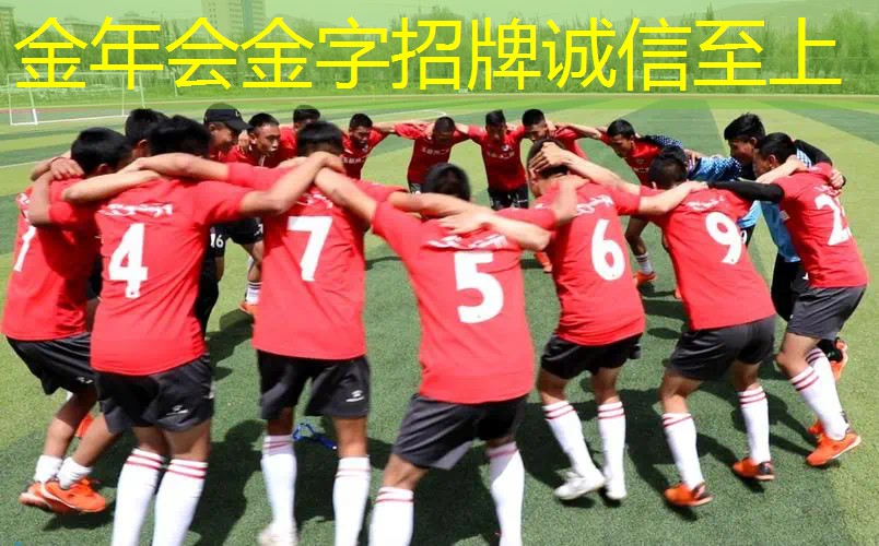 打旋球适合的网球拍