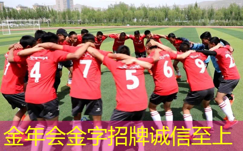 威尔逊顶级网球拍价格
