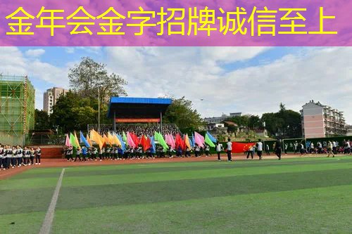 百宝力网球拍手胶