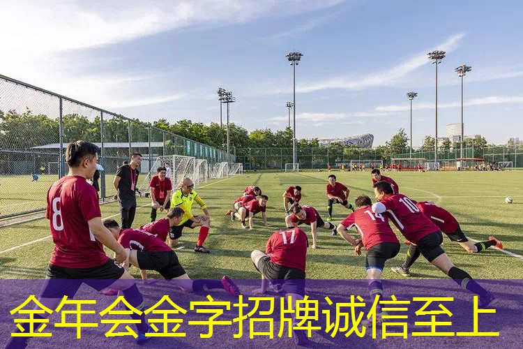 用网球拍打的球有几种