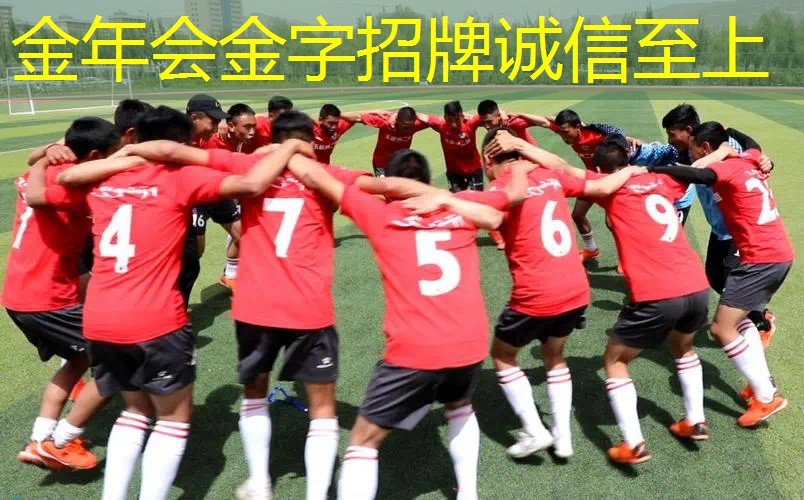 百宝力网球拍供应