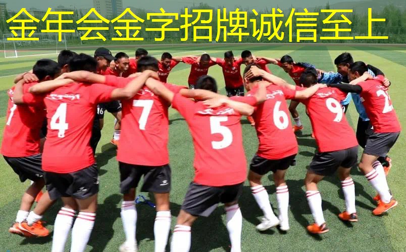 网球拍规格及价格表图