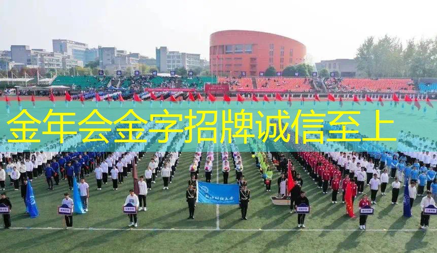 百宝力网球拍配件