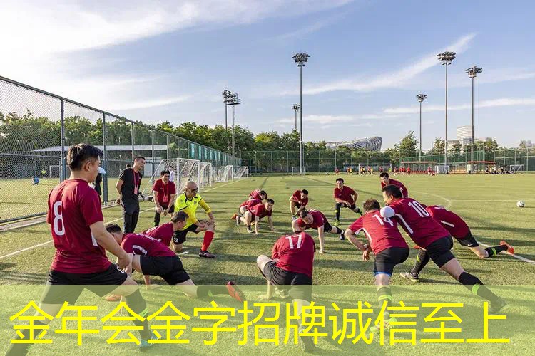 带吸力的网球拍有哪些