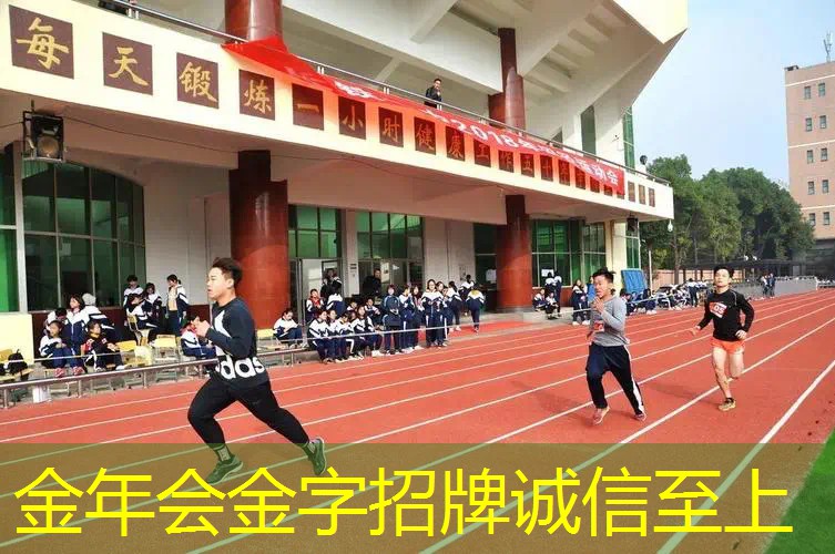 可以回弹的网球拍有哪些