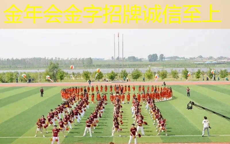 网球拍球框材质哪种好耐用