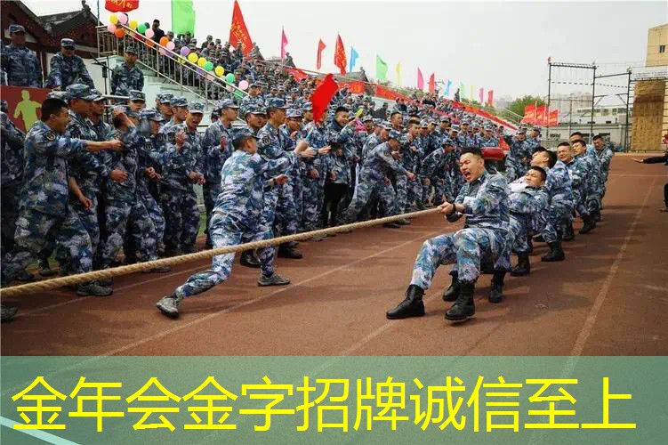 莎拉波娃的网球拍2017