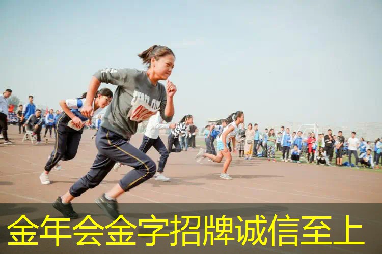 网球拍天龙好还是红双喜好