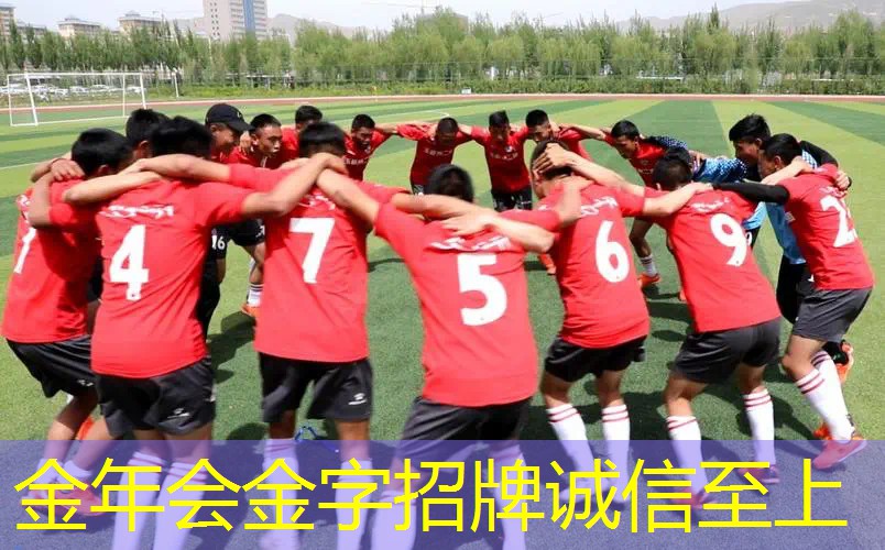 百宝力网球拍硬度对比