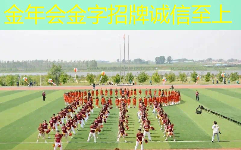 网球拍子都用什么线头打