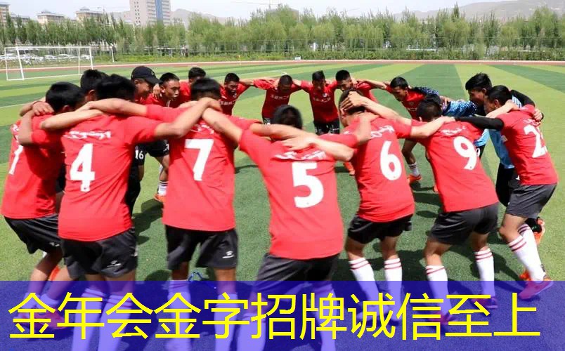 全碳素网球拍初学者