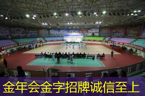 百宝力网球拍2017