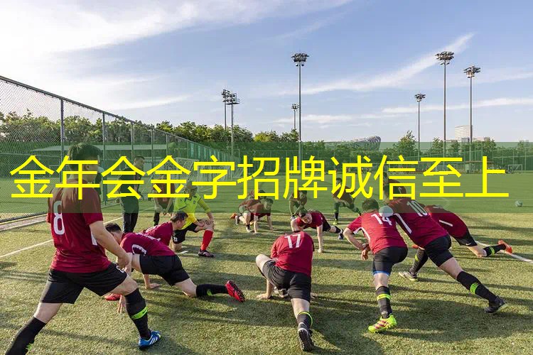 网球拍参数颜色淡什么意思