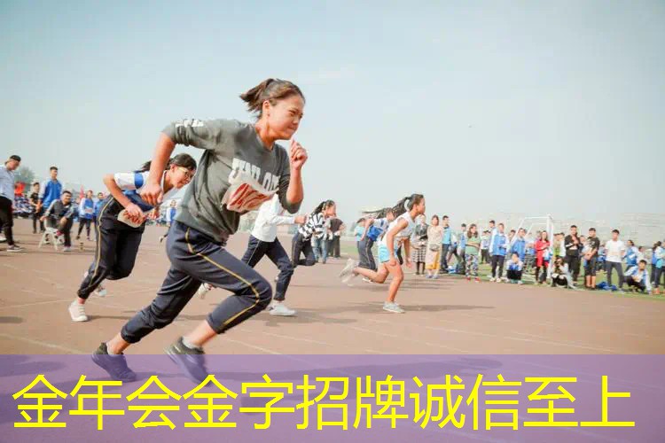 网球拍尺寸与网带高度