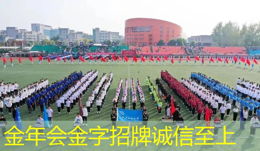 网球拍拍子有哪些种类